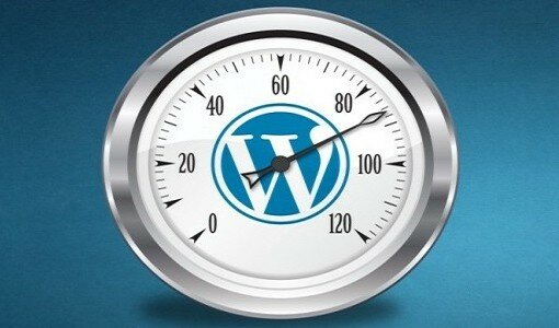 Wordpress Optimizer