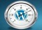 Wordpress Optimizer