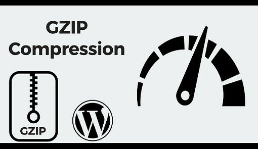 Enable Gzip Compression to Optimize Website