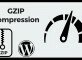 Enable Gzip Compression to Optimize Website