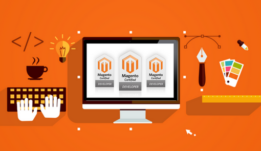 magento developer