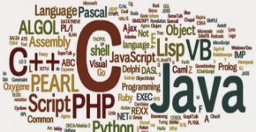 Programing Language