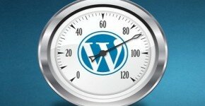 Wordpress Optimizer