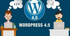 Wordpress