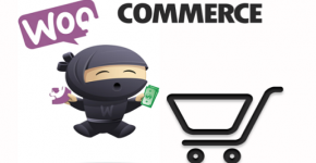 woocommerce